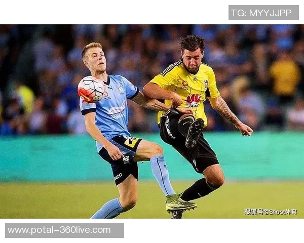 惠灵顿凤凰对阵中央海岸水手2019赛季精彩直播回顾与分析